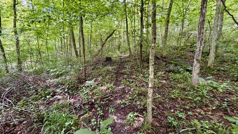 Tiny photo for S County Rd 50 West, Paoli, IN 47454 (MLS # 202630337)