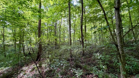 Tiny photo for S County Rd 50 West, Paoli, IN 47454 (MLS # 202630337)