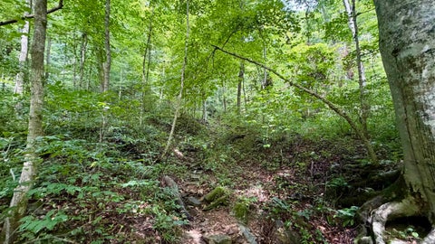 Tiny photo for S County Rd 50 West, Paoli, IN 47454 (MLS # 202630337)