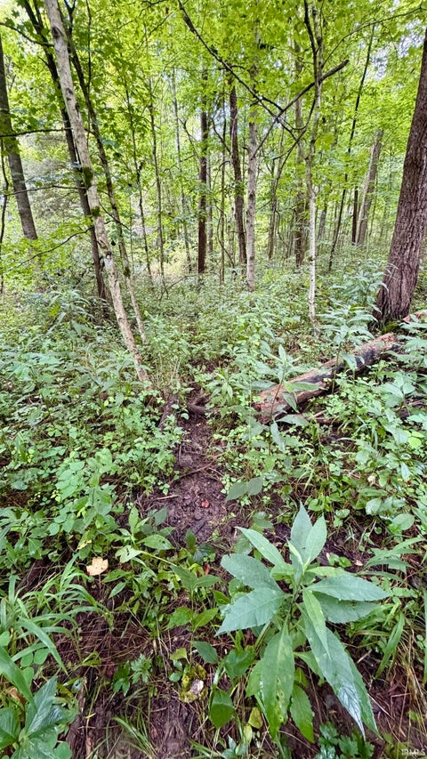 Tiny photo for S County Rd 50 West, Paoli, IN 47454 (MLS # 202630337)