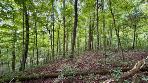 Tiny photo for S County Rd 50 West, Paoli, IN 47454 (MLS # 202630337)
