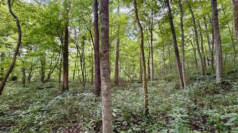 Tiny photo for S County Rd 50 West, Paoli, IN 47454 (MLS # 202630337)