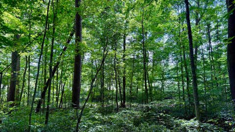 Tiny photo for S County Rd 50 West, Paoli, IN 47454 (MLS # 202630337)