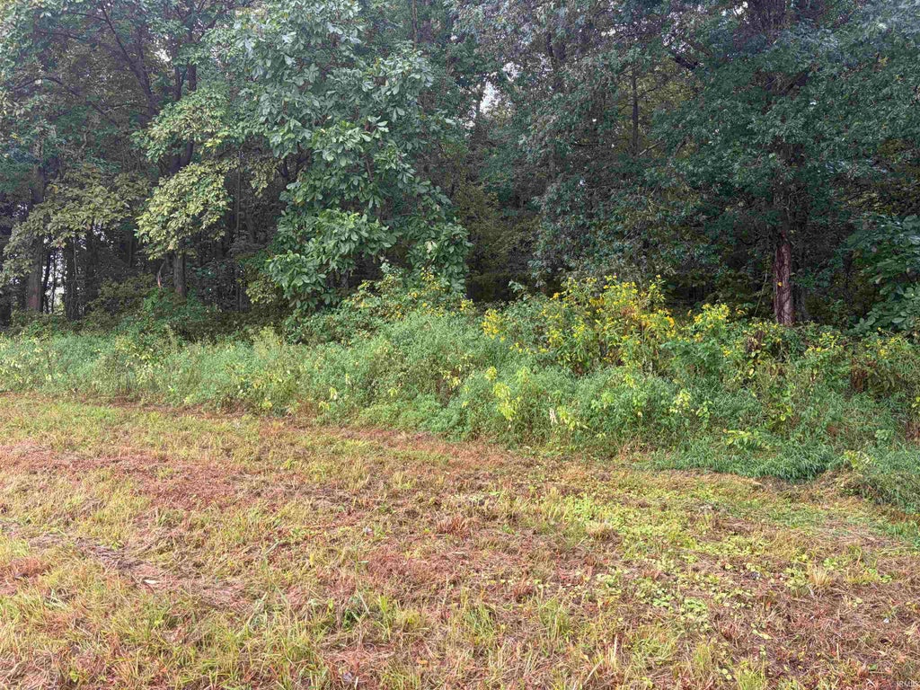 Photo of 0 E CR 100 Road, Rockport, IN 47635 (MLS # 202638097)