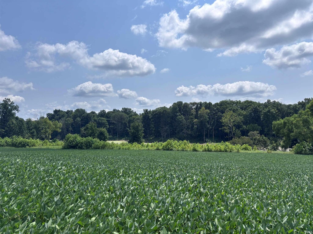 Photo of 4436 E County Road 1050 N, Farmersburg, IN 47850 (MLS # 202633866)