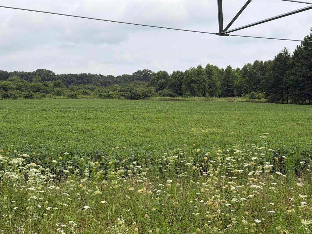 Photo of 4415 N County Line Road, Grovertown, IN 46531 (MLS # 202632981)