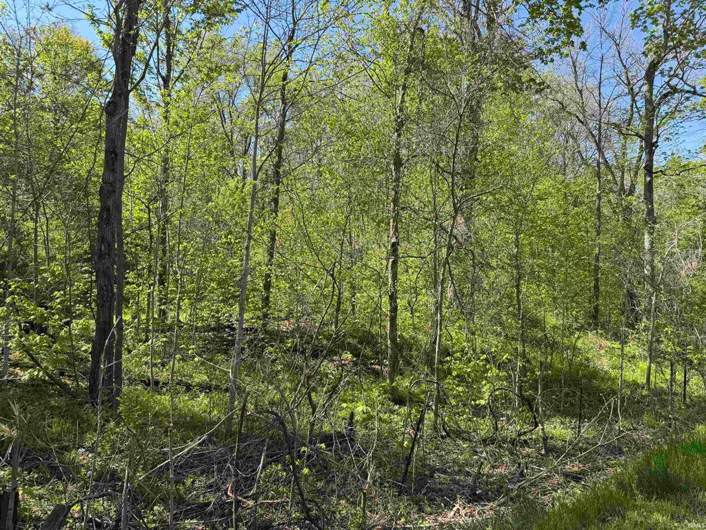 Photo of TBD W Cleveland Road, South Whitley, IN 46787 (MLS # 202616503)