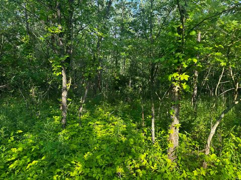 Tiny photo for 1745 E 250 N. #1, Winamac, IN 46996 (MLS # 202521046)