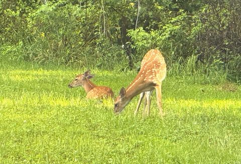 Tiny photo for 6597 N 725 W Road #0, Winamac, IN 46996 (MLS # 202604989)