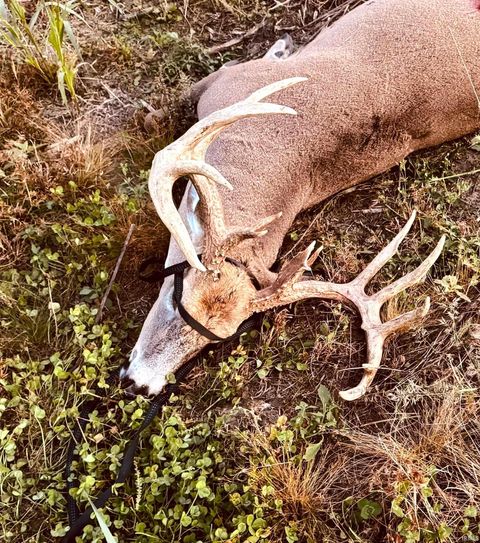 Tiny photo for 6597 N 725 W Road #0, Winamac, IN 46996 (MLS # 202604989)