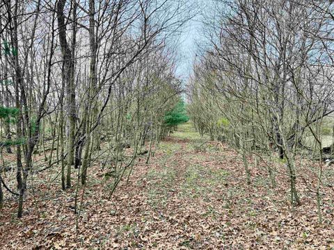 Tiny photo for 6597 N 725 W Road #0, Winamac, IN 46996 (MLS # 202604989)