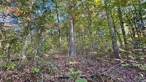 Tiny photo for 4484 N County Road 910, West Baden Springs, IN 47469 (MLS # 202541363)