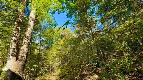 Tiny photo for 4484 N County Road 910, West Baden Springs, IN 47469 (MLS # 202541363)