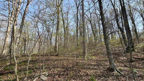 Tiny photo for 4484 N County Road 910, West Baden Springs, IN 47469 (MLS # 202541363)