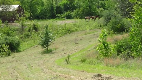 Tiny photo for 10277 HWy 50 W Hwy 50 Highway, Bedford, IN 47421 (MLS # 202618733)