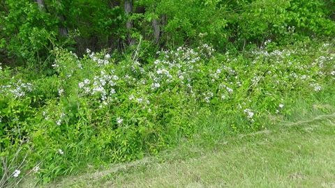Tiny photo for 10277 HWy 50 W Hwy 50 Highway, Bedford, IN 47421 (MLS # 202618733)