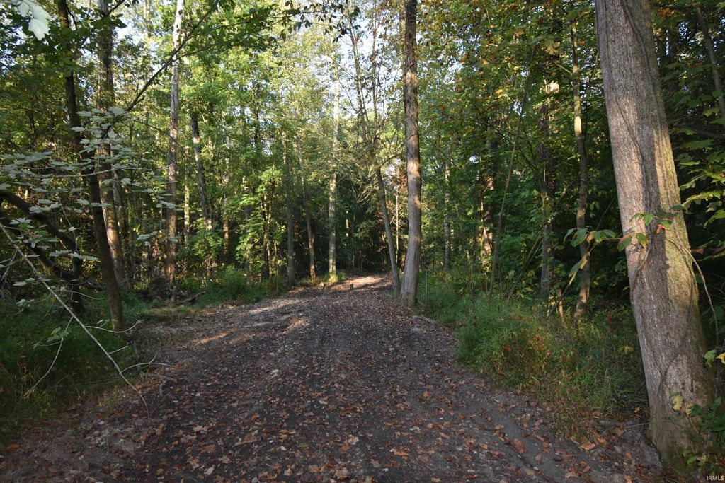 Photo of 0 S Meridean Rd Road, Winslow, IN 47598 (MLS # 202538533)