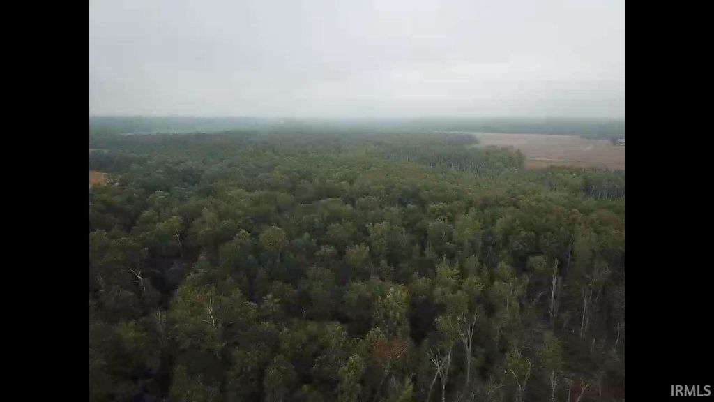 Photo of 0 S Meridean Rd Road, Winslow, IN 47598 (MLS # 202538533)