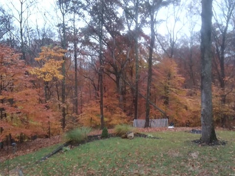 Tiny photo for 5021 N Brummetts Creek Road, Bloomington, IN 47408 (MLS # 202636064)
