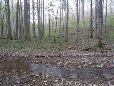 Tiny photo for 5021 N Brummetts Creek Road, Bloomington, IN 47408 (MLS # 202636064)