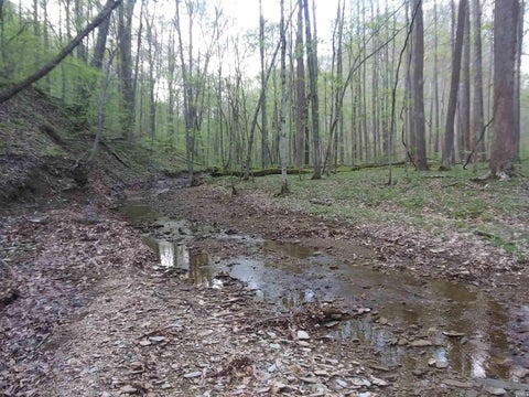 Tiny photo for 5021 N Brummetts Creek Road, Bloomington, IN 47408 (MLS # 202636064)
