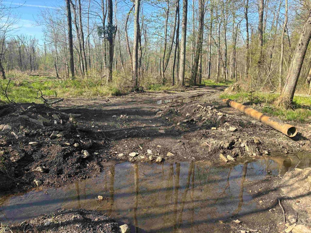 Photo of 7000 S Meridian Road, Oakland City, IN 47660 (MLS # 202612825)