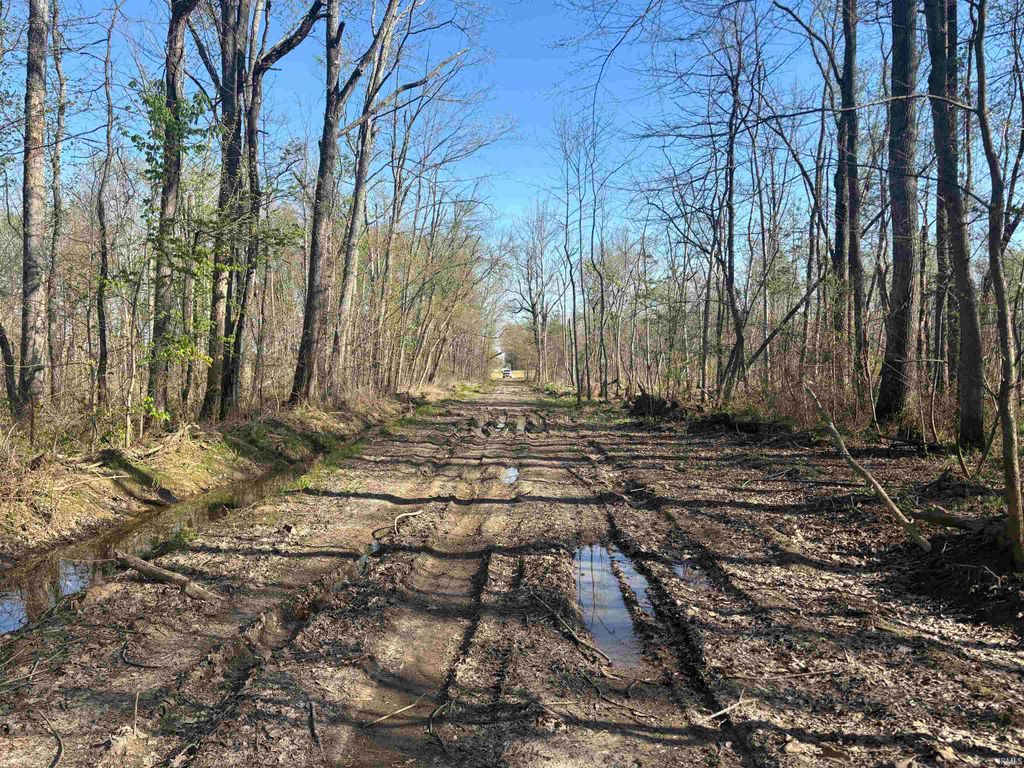 Photo of 7000 S Meridian Road, Oakland City, IN 47660 (MLS # 202612825)