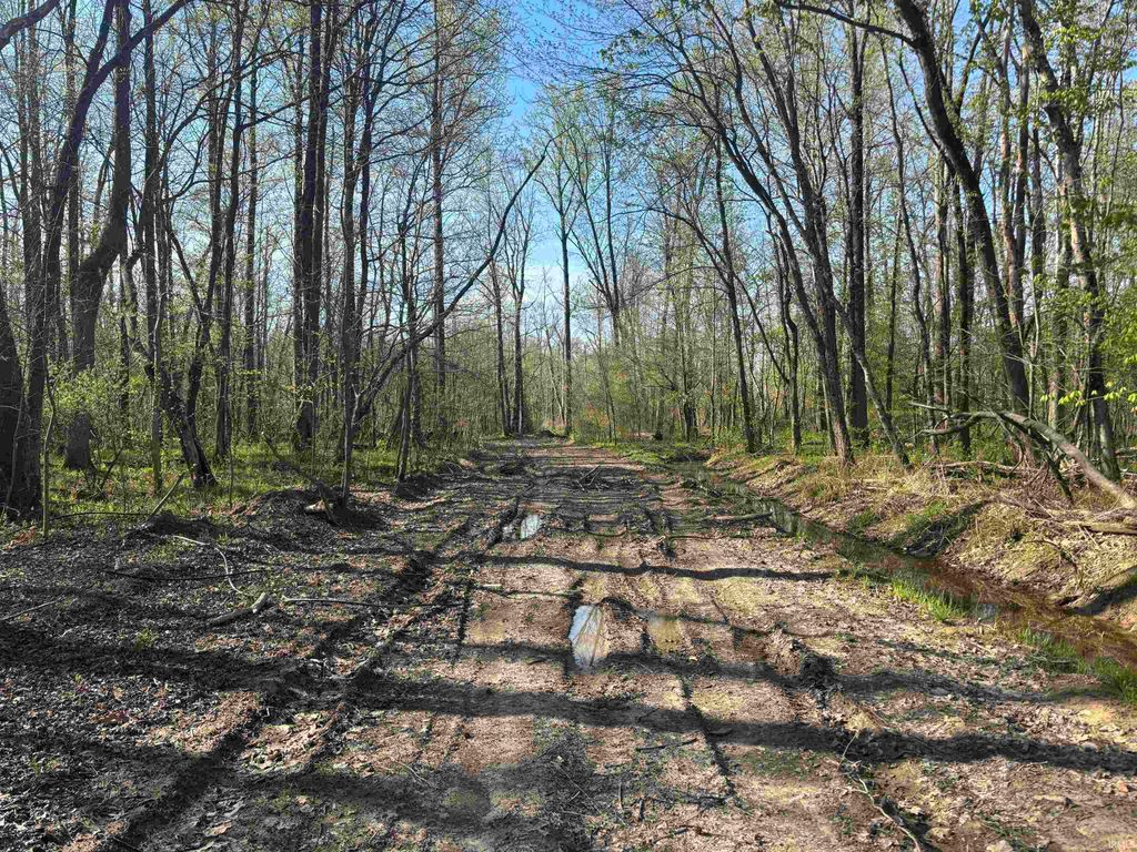 Photo of 7000 S Meridian Road, Oakland City, IN 47660 (MLS # 202612825)