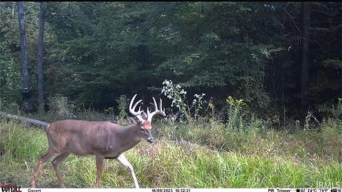 Tiny photo for Lot 5 Deer Creek Road, Cannelton, IN 47520 (MLS # 202629893)