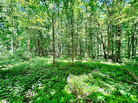 Tiny photo for South Riverview Rd., Peru, IN 46970 (MLS # 202422154)