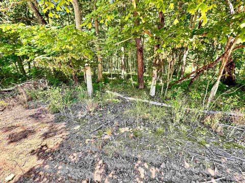 Tiny photo for South Riverview Rd., Peru, IN 46970 (MLS # 202422154)