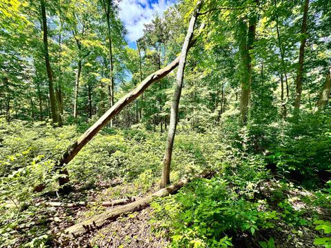 Tiny photo for South Riverview Rd., Peru, IN 46970 (MLS # 202422154)