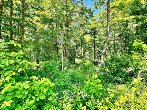 Tiny photo for South Riverview Rd., Peru, IN 46970 (MLS # 202422154)