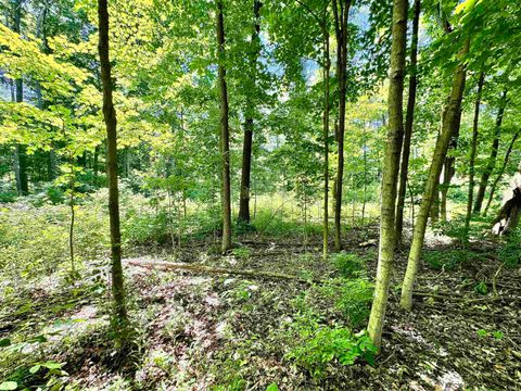 Tiny photo for South Riverview Rd., Peru, IN 46970 (MLS # 202422154)