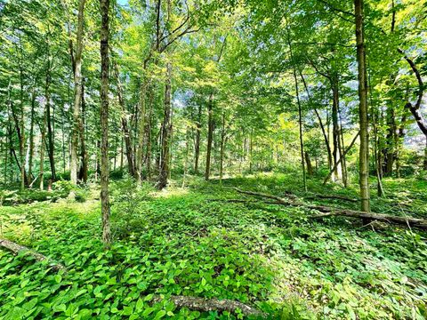 Tiny photo for South Riverview Rd., Peru, IN 46970 (MLS # 202422154)