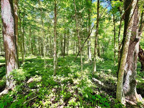 Tiny photo for South Riverview Rd., Peru, IN 46970 (MLS # 202422154)