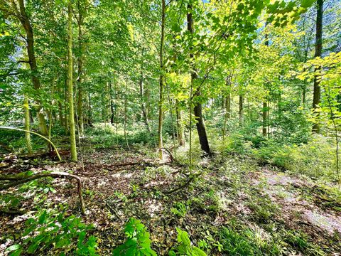 Tiny photo for South Riverview Rd., Peru, IN 46970 (MLS # 202422154)