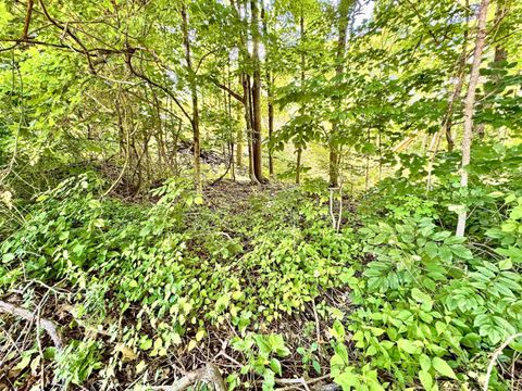 Tiny photo for South Riverview Rd., Peru, IN 46970 (MLS # 202422154)