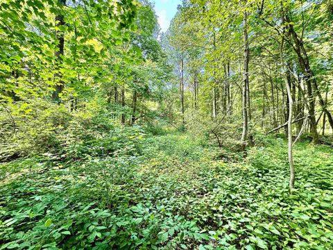 Tiny photo for South Riverview Rd., Peru, IN 46970 (MLS # 202422154)