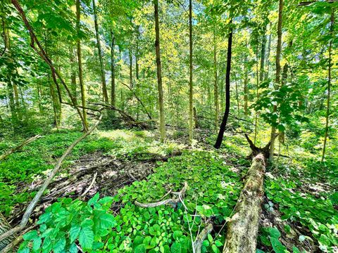 Tiny photo for South Riverview Rd., Peru, IN 46970 (MLS # 202422154)