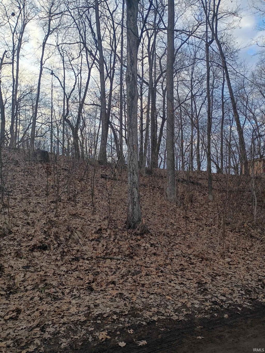 Photo of LN 131 C turkey lake lot # 23 &amp;24, Lagrange, IN 46761 (MLS # 202606393)