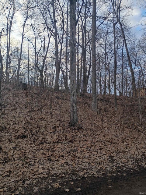 Photo for LN 131 C turkey lake lot # 23 &24