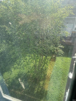 515 W KIRKWOOD AVE, BLOOMINGTON, IN 47404 - Image c64553a02f49d3ccabe7842e9d34a0d4/2989848745