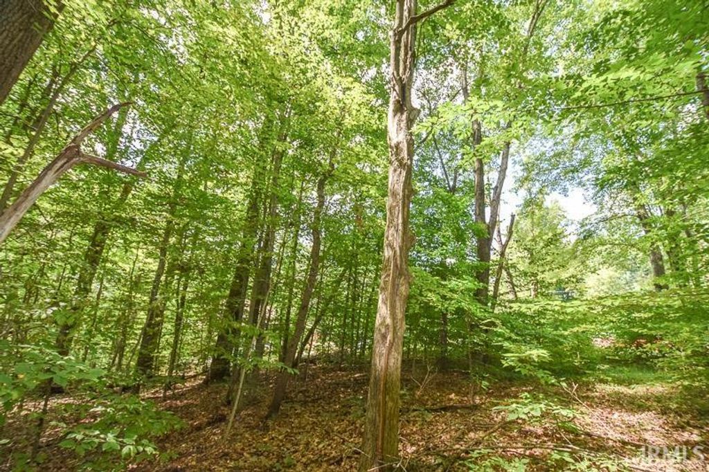 Photo of Lot 63 N Viking Ridge Road #63, Bloomington, IN 47408 (MLS # 202602987)