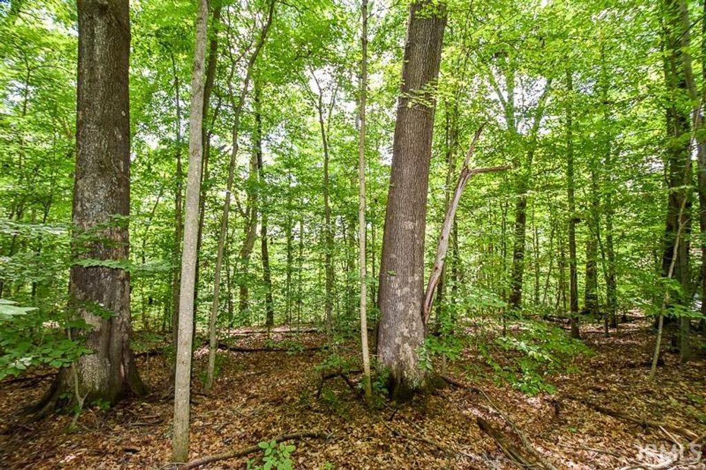 Photo of Lot 63 N Viking Ridge Road #63, Bloomington, IN 47408 (MLS # 202602987)