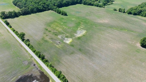 Tiny photo for State Road, Monon, IN 47959 (MLS # 202623145)