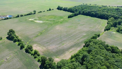 Tiny photo for State Road, Monon, IN 47959 (MLS # 202623145)