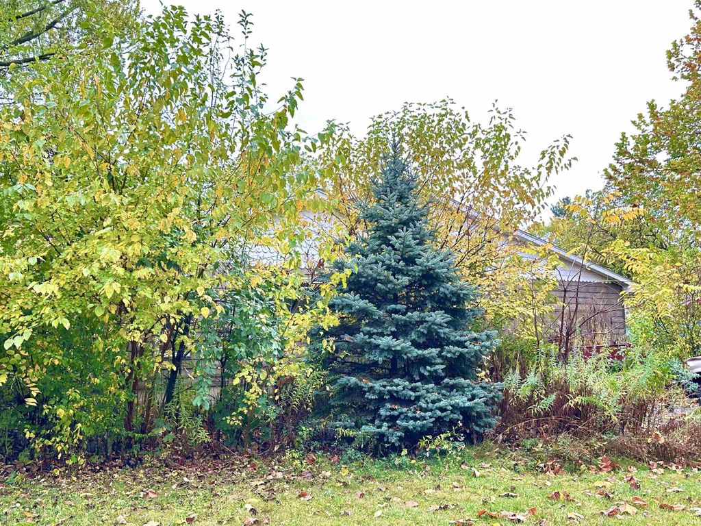 Photo of 3156 Oswego Avenue, Fort Wayne, IN 46805 (MLS # 202542732)