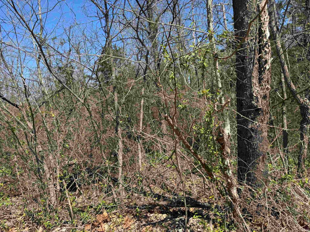 Photo of Lot B-21 Highway 46, Spencer, IN 47460 (MLS # 202613664)