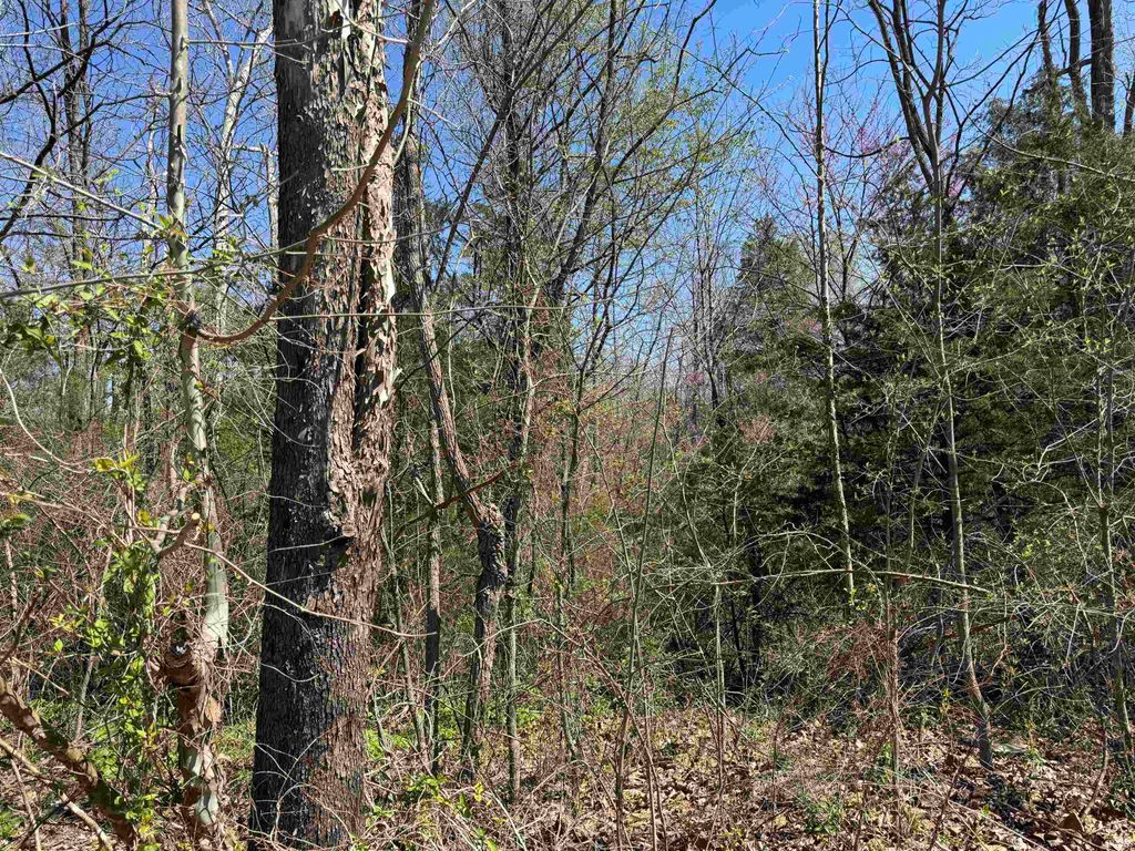 Photo of Lot B-21 Highway 46, Spencer, IN 47460 (MLS # 202613664)